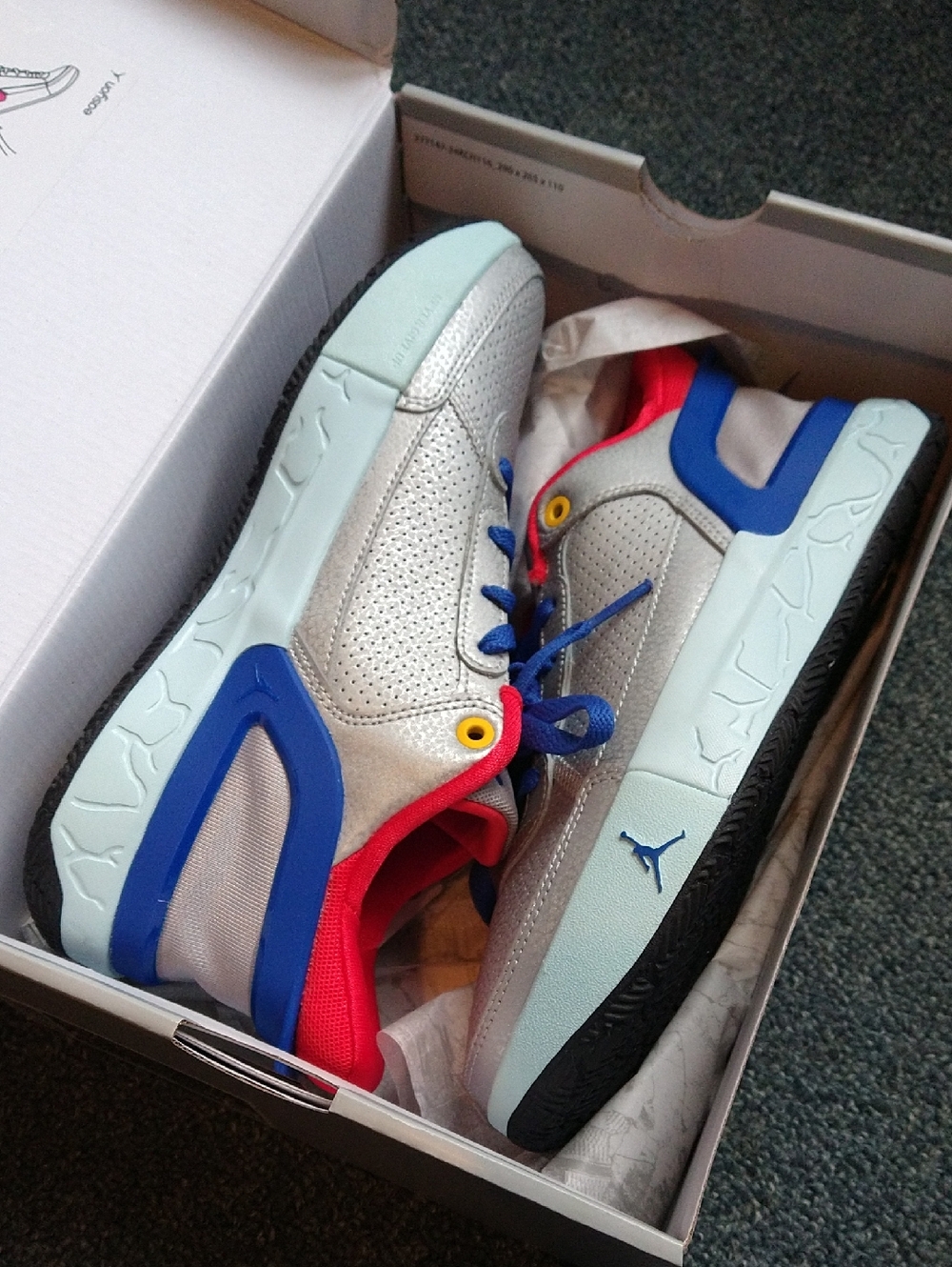 Jordan DAY1 EO Low Top Sneakers in Silver, Blue & Red